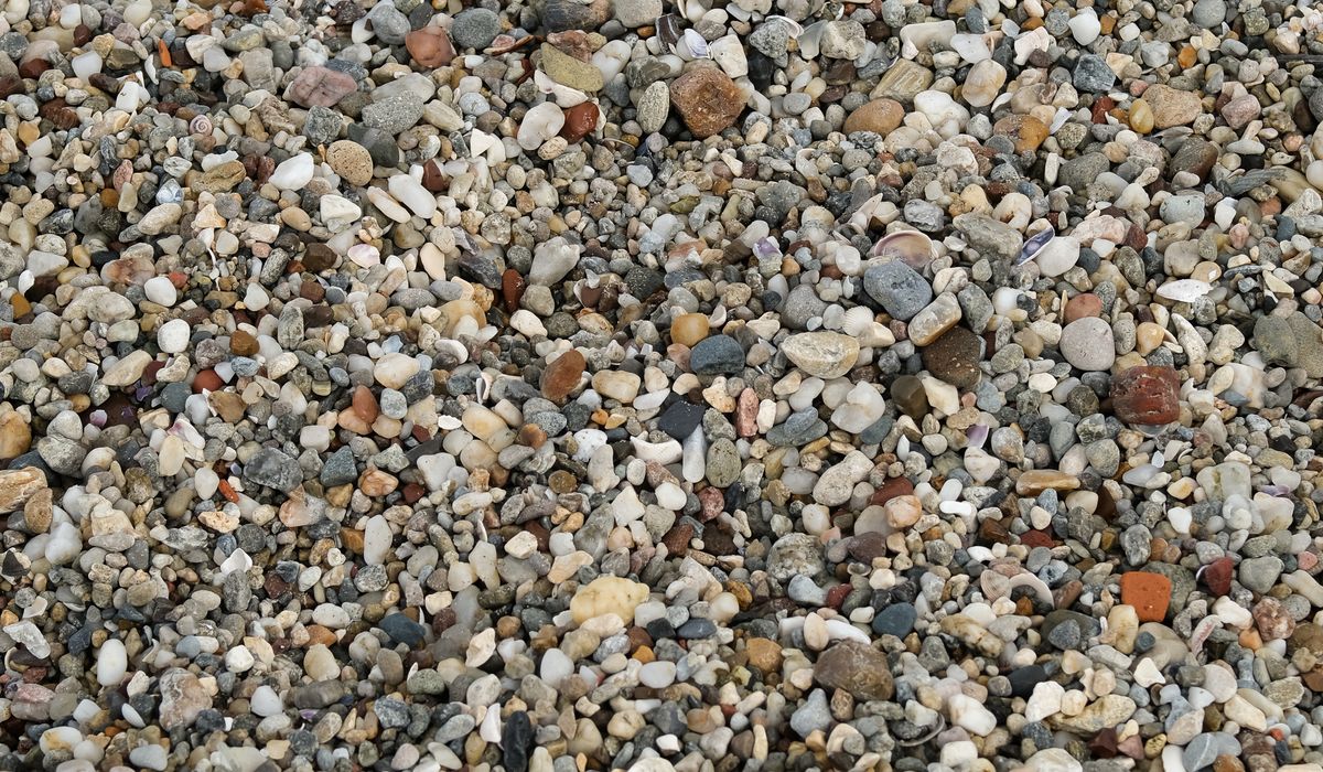 Making a Simple Rain Garden for Wet Winters